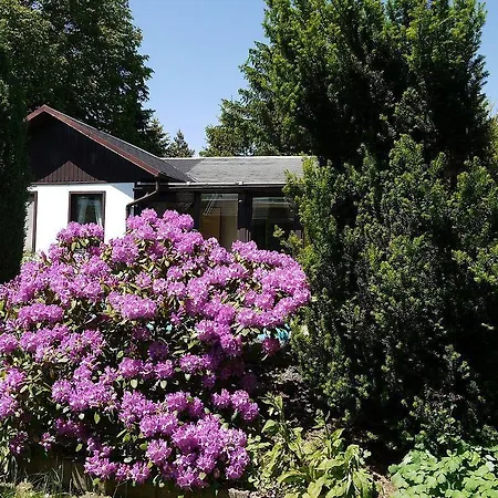 Holiday home Ferienhaus-maxen