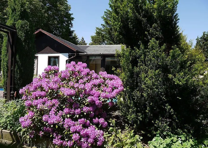 Ferienhaus-maxen Сasa de vacaciones